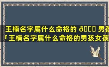 王楠名字属什么命格的 🐝 男孩「王楠名字属什么命格的男孩女孩」